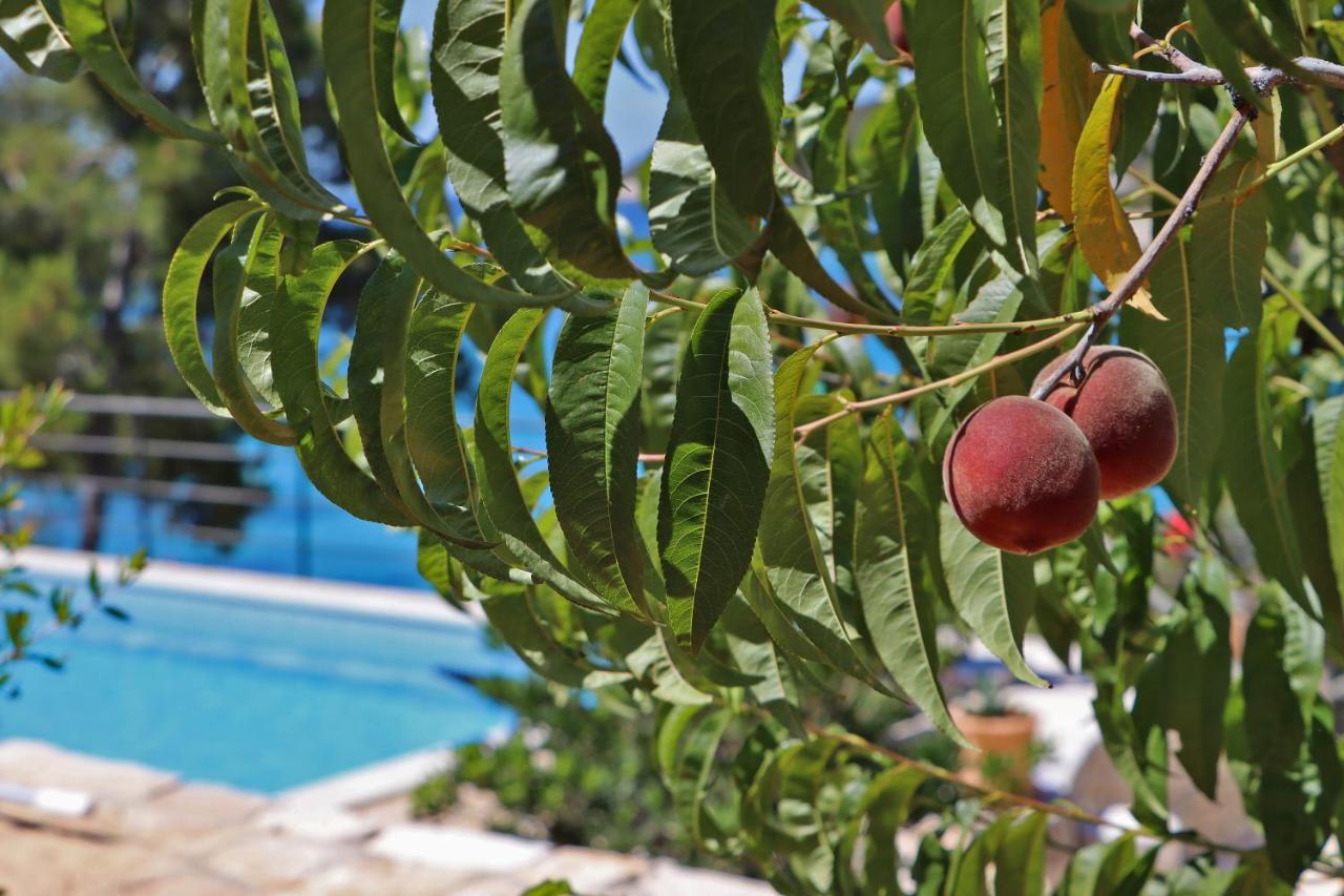 Vila Perla Villa Vela Luka Esterno foto